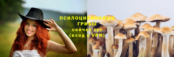 альфа пвп Козловка