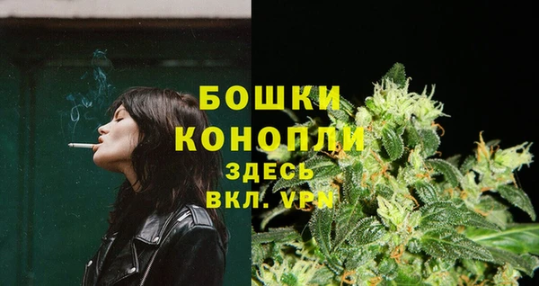 бошки Козельск