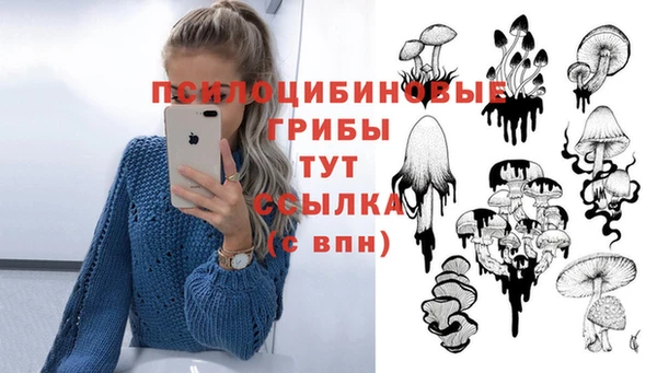 бошки Козельск