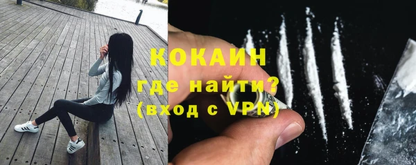 бошки Козельск