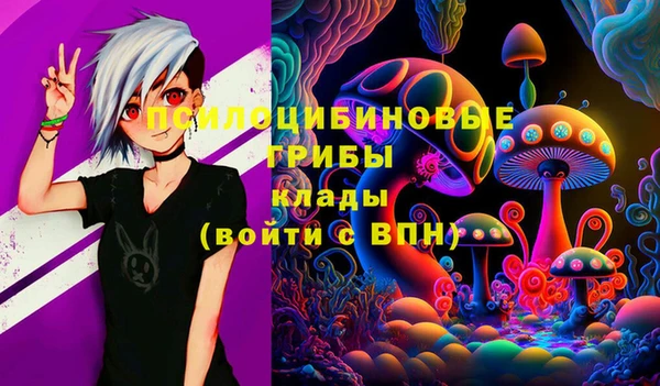 индика Коряжма