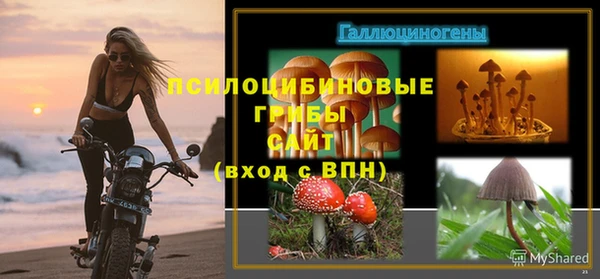 бошки Козельск