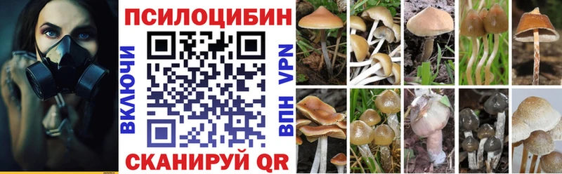 Купить  Томмот  Галлюциногенные грибы MAGIC MUSHROOMS 